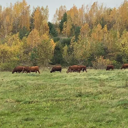 Haus Am Berzdorfer - 3 Schlafzimmer - Ganzes Haus Zur Alleinnutzung - Terrasse - Hochwertige Ausstattung Βίλα *