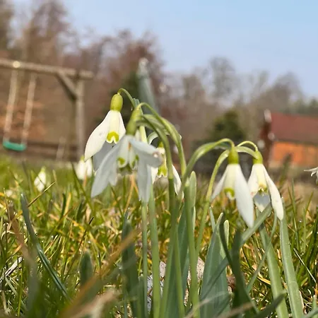 Haus Am Berzdorfer - 3 Schlafzimmer - Ganzes Haus Zur Alleinnutzung - Terrasse - Hochwertige Ausstattung Βίλα Görlitz