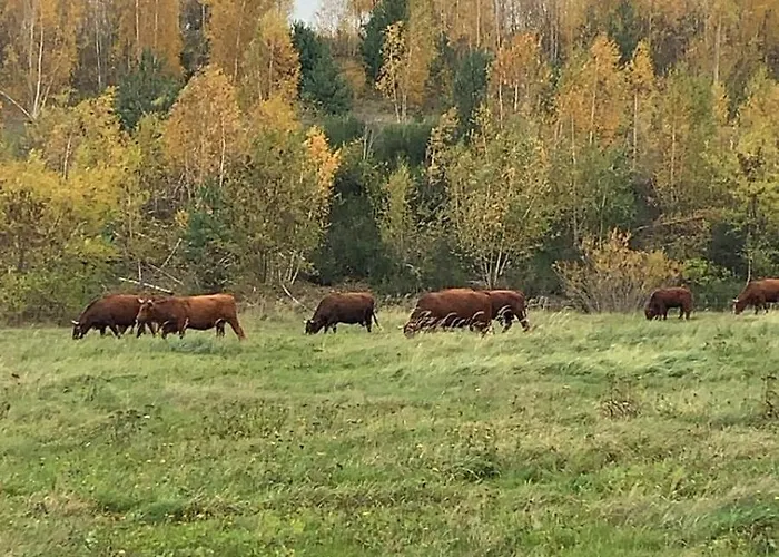 Haus Am Berzdorfer - 3 Schlafzimmer - Ganzes Haus Zur Alleinnutzung - Terrasse - Hochwertige Ausstattung Villa *