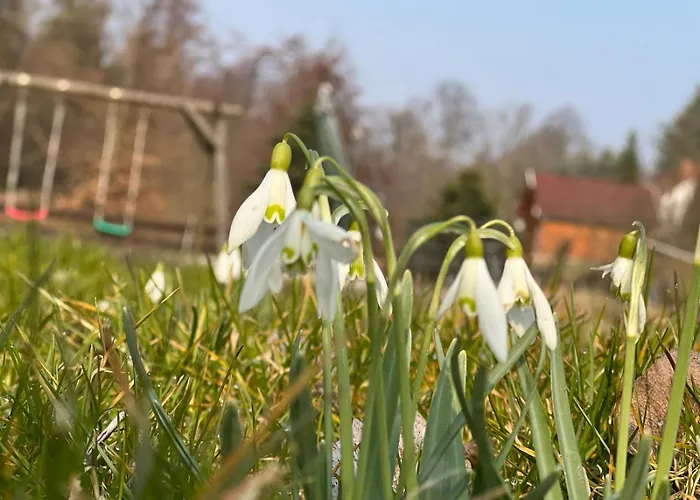Haus Am Berzdorfer - 3 Schlafzimmer - Ganzes Haus Zur Alleinnutzung - Terrasse - Hochwertige Ausstattung Villa Görlitz
